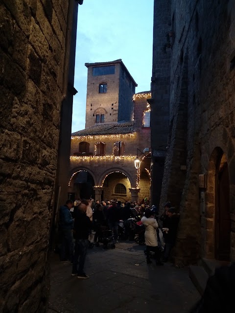 Istituto Magistrale Statale Santa Rosa da Viterbo