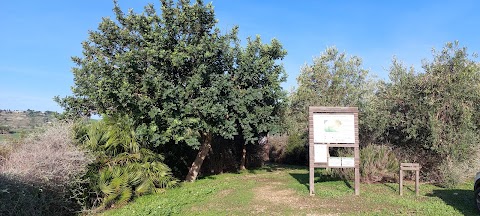 Riserva naturale integrale Grotta di Santa Ninfa