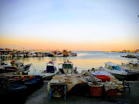 Soc Coop Armatori E Pescatori Fanciulla Di Anzio