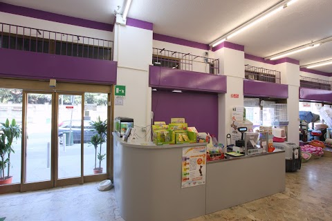 PET SHOP MILANO