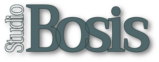 Studio Bosis - Stefania Bosis Dottore Commercialista e Revisore contabile