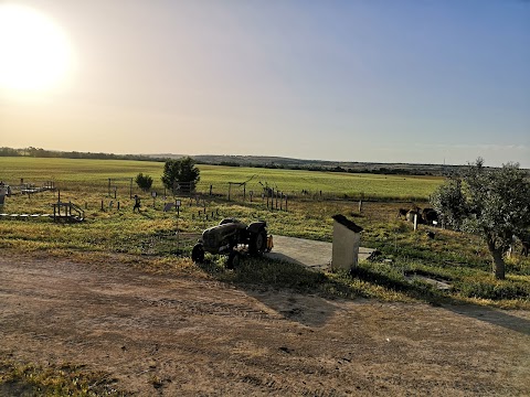 La Valle Degli Asini