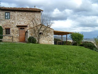 Masseto in Chianti