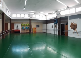 Academy Of Dance Bari