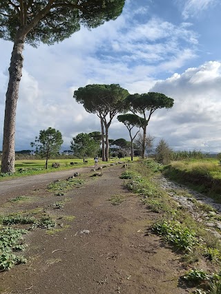 Caffetteria Pandolfi