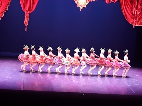 Teatro Municipale di Piacenza