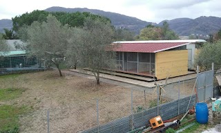 Pensione Per Cani Dacia Azienda Agricola Dacia Di Beani Gabriele