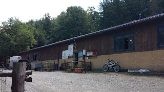 centro equestre badia a moscheta