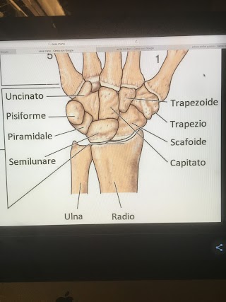 Centro di fisioterapia, riabilitazione ed estetica avanzata “Guglielmo Coco physio"