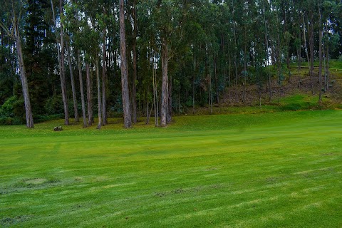 Vivaio Benedetti Franco | Progettazione Giardini e Parchi