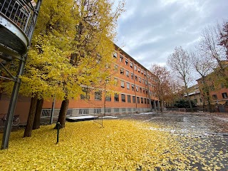 Istituto comprensivo n° 8 - Scuola secondaria di primo grado “Guido Guinizelli”