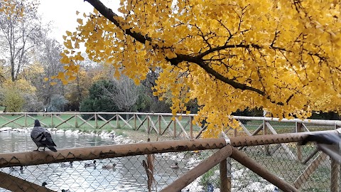 Parco Villa Gandini