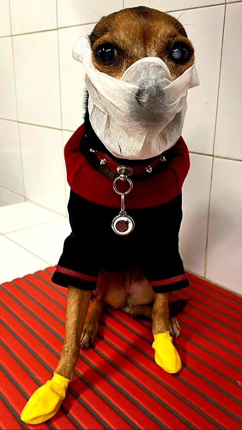 Foto di fido pet shop milano - Via Antonio Kramer 19, Milano (MI), Italia