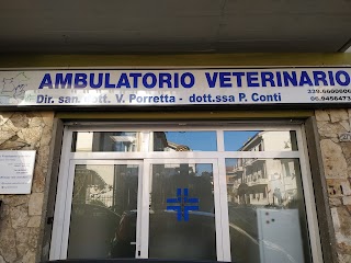 Ambulatorio Veterinario Conti - Porretta Grottaferrata Vets