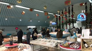 Pescheria Pesce Vivo Milano