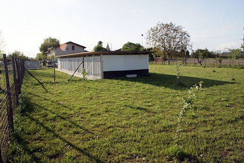 Dog Park Maserà di Padova