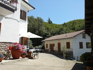 Agriturismo Il Fosso Di Nesti Petrucci Luana