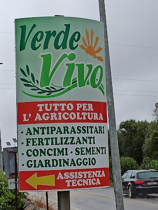 VERDE VIVO SRL