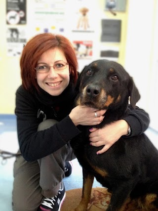 Ambulatorio Veterinario Orsa Maggiore