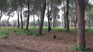 Area di sgambamento per cani