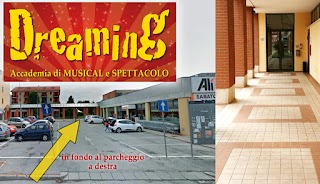 DREAMING ACADEMY accademia di Musical e Spettacolo