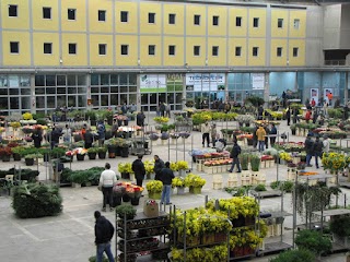 Mercato dei Fiori di Terlizzi