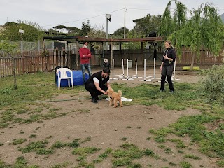 Centro di Educazione del Cane CANI ED EMOZIONI