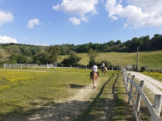 ASD Circolo Equestre Le Cerque