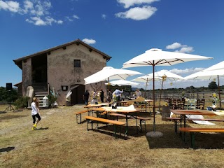 Università Agraria di Manziana