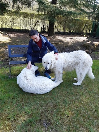 pensione per cani LA CASETTA