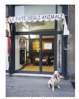 Le Fate Degli Animali