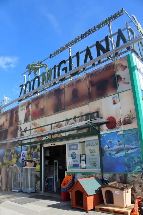 Zoomiguana Il Megastore Degli Animali