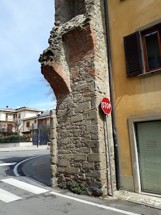 Associazione Pro-Loco Terranuova Bracciolini