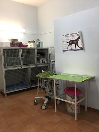 Ambulatorio Veterinario Dr. Antonino Nicola