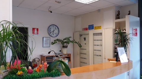 Ospedale Veterinario Amici Degli Animali