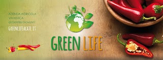 Greenlife vivaio