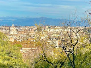 Tour in Rome