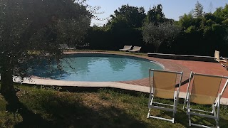 Piscina dell'Hotel Garden