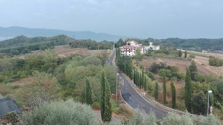 B&b L'uliveto sul Chianti