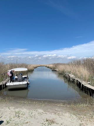 Escursioni nel Delta con Willy