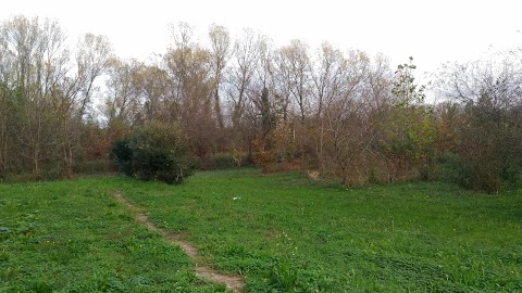 Parco regionale di interesse locale del Reghena, Lemene. Laghi di Cinto