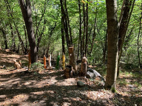 Bosco magico di Dazio