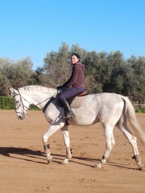 Scuola di equitazione Circolo ippico san bartolo