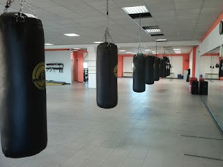 Verona Boxing Fighters