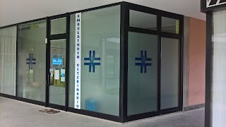 Ambulatorio Veterinario Felivet