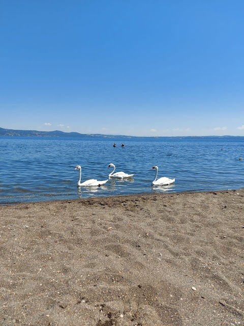 Ristorante Da Tonino Bracciano