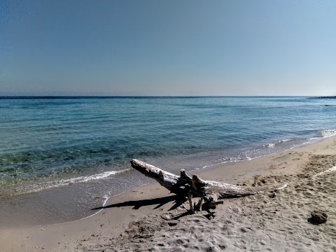 Riserva Naturale Torre Guaceto