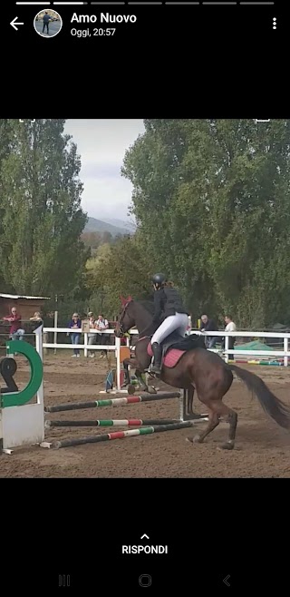 ASD Luisana Horse Riding