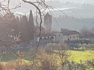 Pensione Per Cani Le Terrazze