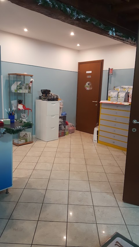 Clinica Veterinaria Chignolo Po